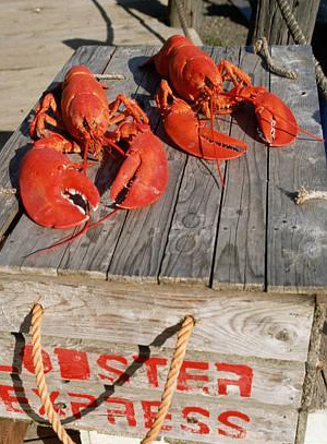 Lobsters Anywhere