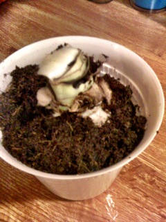Cover the bulb with the remaining dirt.l