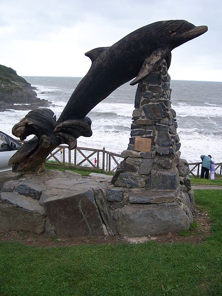 Aberporth Dolphin