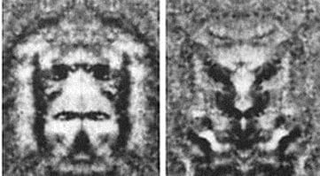 Hoagland's mirror images of the Cydonia "face"