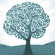 pbfinance profile image