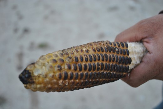 You will be lucky to find a grilled corn like this.  But expect unexpected. It may cost nothing or too much. 