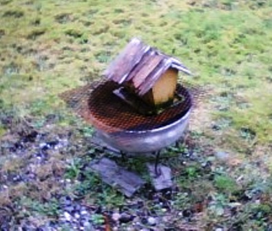fire pit