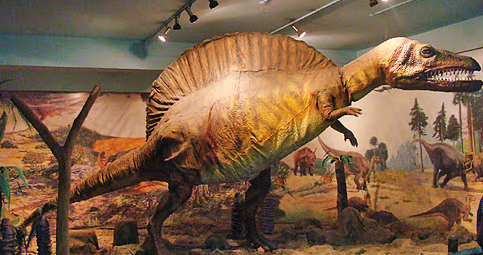 A model of spinosaurus on display at Visvesvaraya Industrial and Technological Museum