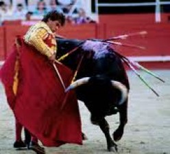 Bullfighting: Cruel and Agonizing