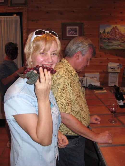 Wine Tasting at the Crop Circle Winery in Wilcox, AZ