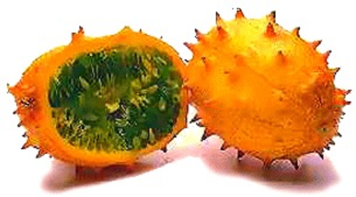 Kiwano, one of the oldest melon species