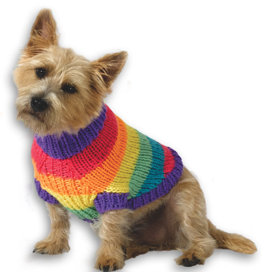Do you think this is cute?