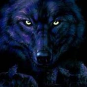 Isabella Wolf profile image