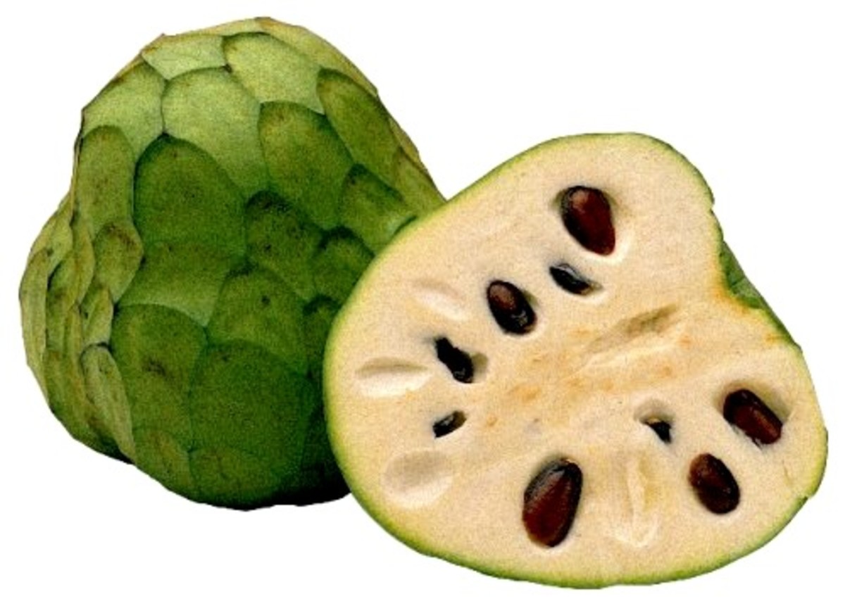 Cherimoya, the fruit you can eat like ice-cream