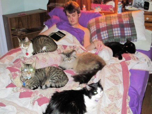 This picture is a couple of years old, back from when this was our entire kitten collective.  I'm the human, Her Cat, Foot, Mikus, Minnie, and Annabelle are keeping me company.