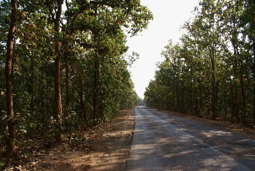 The road to Joydev-Kenduli from Durgapur