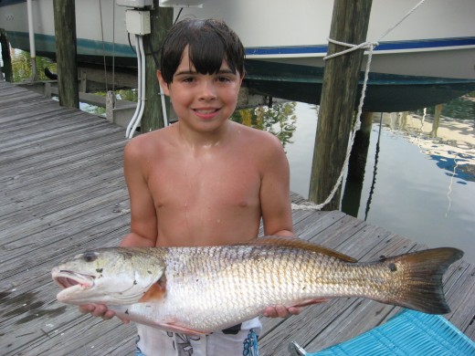 Even the kids will love Naples fishing!