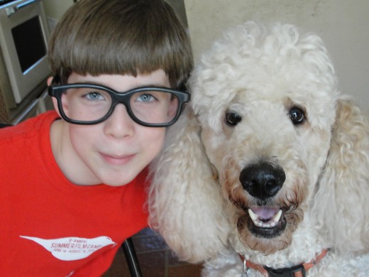 Butters the Wonder Poodle and his favorite human