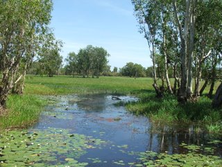 Kakadu National Park, Northern Territory, Australia