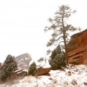 MileHighCountry profile image