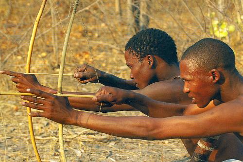 Gudigwa Bushmen hunting in Southern Africa