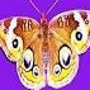 Erica Silverlight profile image