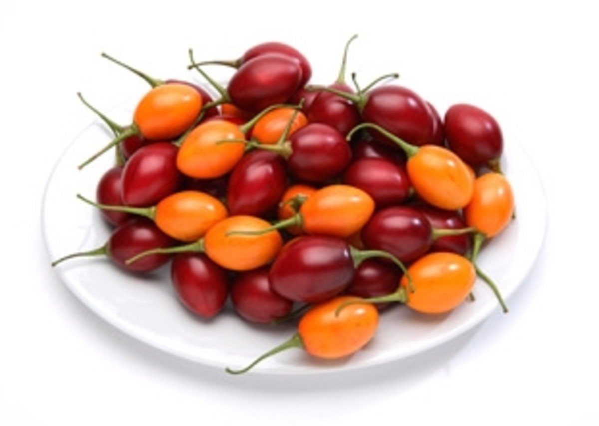 Tamarillos are available in red, purple and yellow varieties.