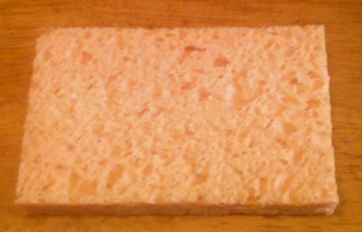 A PLAIN SPONGE
