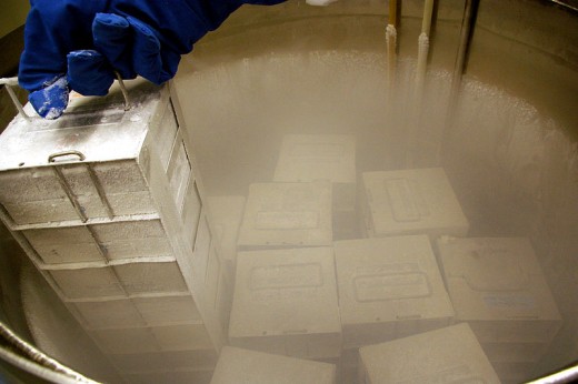 Liquid nitrogen tank used to store specimens.  Source: Cygaretka, CC BY SA 2.0