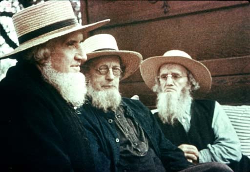The Amish People