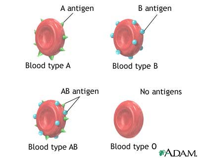 Types of Blood