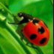nora2biz profile image