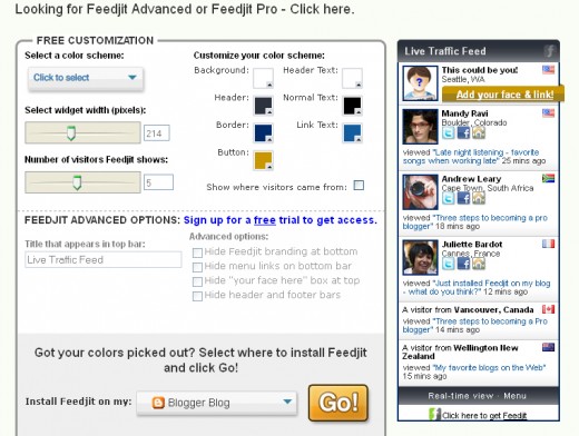 Customize the appearance of your Feedjit live feed widget.
