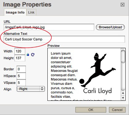 The alternative text (alt tag) area of an image is where you can add your main keywords.