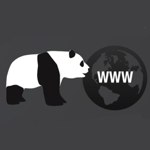 The Google Panda