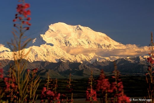Denali or Mt. McKinley 