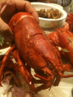 Chinese New Year Lobster
