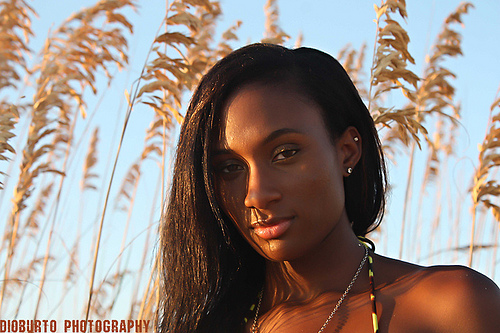 In The Reeds