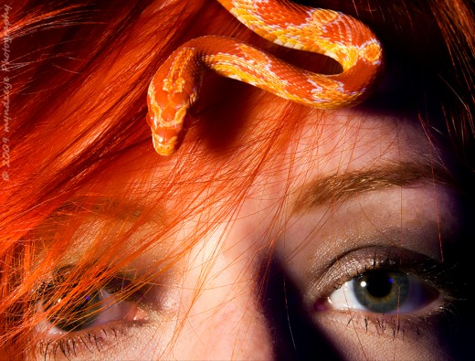 Keeping snakes is becoming more acceptable, especially among younger generations.