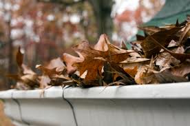 Leaves and debris block gutters and downpipes putting your home at risk of water damage.