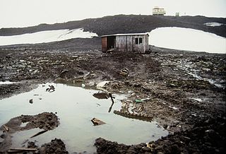 Whats Left