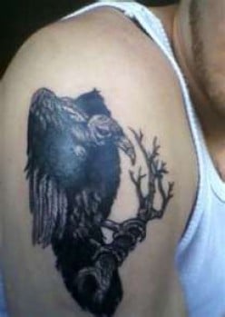 Vulture Tattoos and Vulture Tattoo Meaning