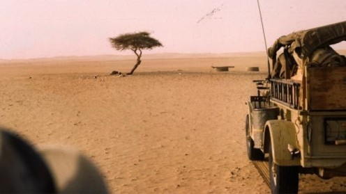 The Tree of Ténéré