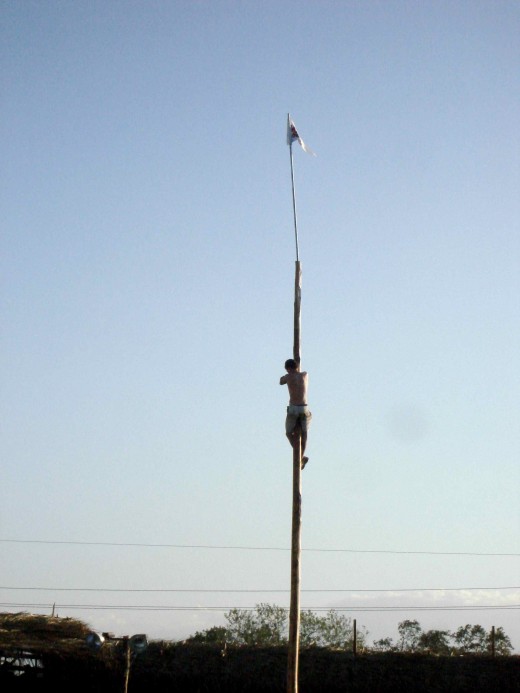 This climber has almost reached the top to win the prize.