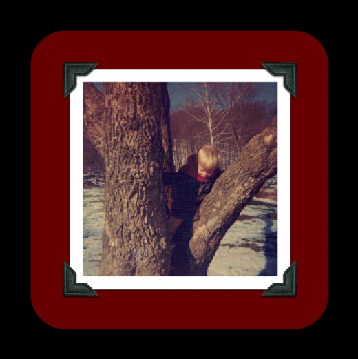 Little me in a tree!