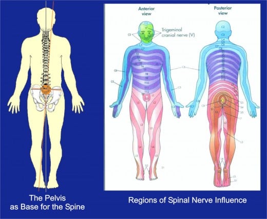 Spinal Alignment