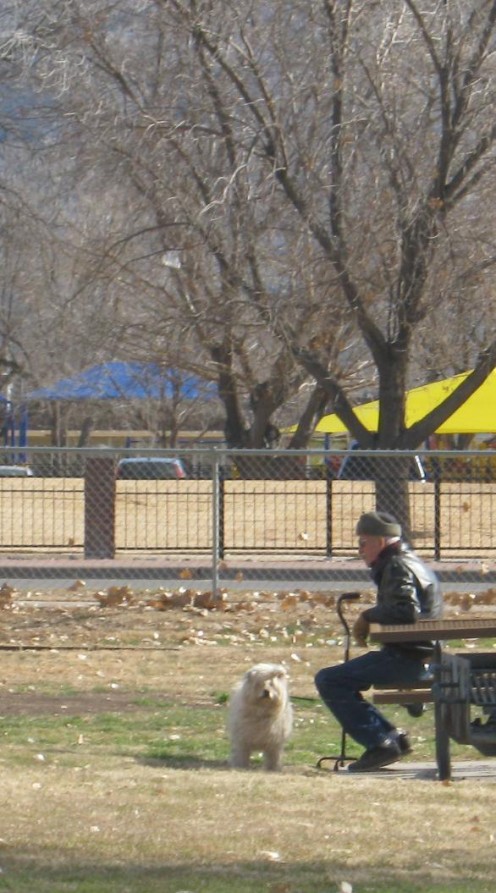 A gentleman enjoying Alameda Park with his dog.