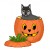 Cute Black Cat Setting In Pumpkin In This Photo