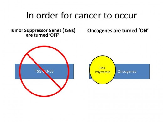 Combination of turning off TSGs, ultimately the genes are not transcribed, and the turning on (or up-regulating=increased transcription) of oncogenes for cancer phenotype.
