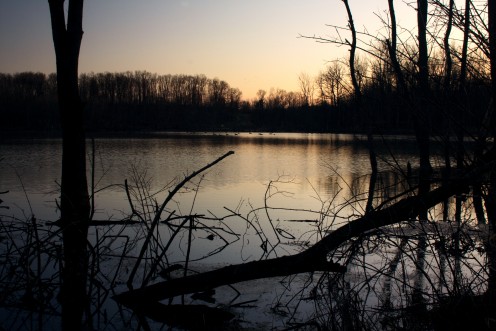 First Light of Spring, Black Fork Bottoms Hunting Preserve, Ashland County, Ohio