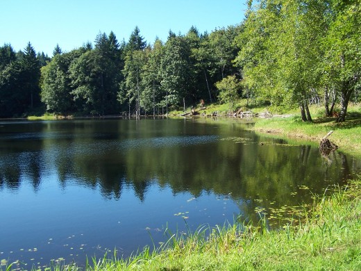 Tranquility