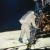 Neil Armstrong prepares to step onto the moon. "That's one small step for man, one giant leap for mankind." Neil Armstrong prepares to step onto the moon. "That's one small step for man, one giant leap for mankind."