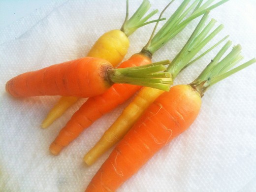 Fresh carrots for weight loss