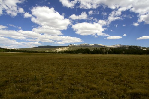 Tuolumne Meadows, Yosemite National Park, California